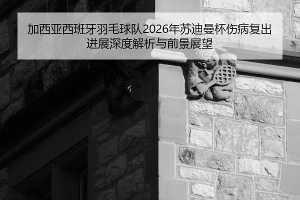 加西亚西班牙羽毛球队2026年苏迪曼杯伤病复出进展深度解析与前景展望
